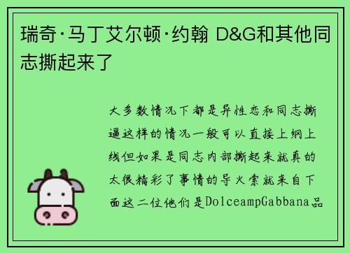 瑞奇·马丁艾尔顿·约翰 D&G和其他同志撕起来了